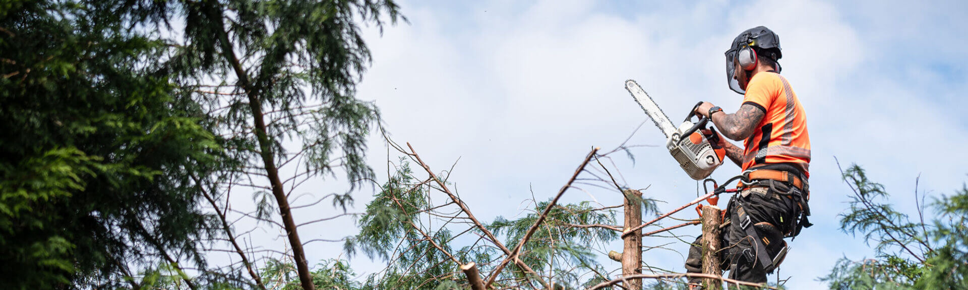 Banner3 72